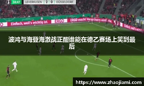 波鸿与海登海激战正酣谁能在德乙赛场上笑到最后